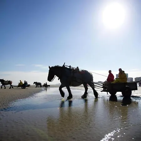 In By The Beach, Cleaning Included Lägenhet